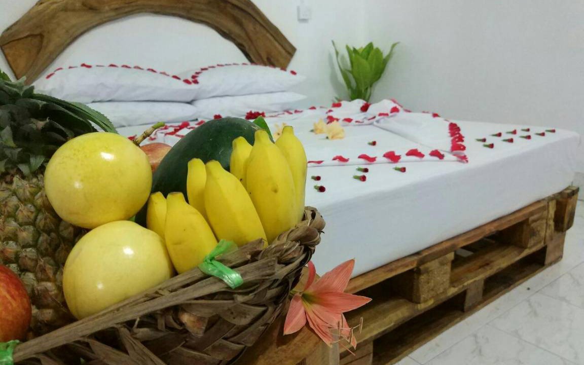 Thoddoo Bed & Breakfast | 16 m² Bed and breakfast ∙ 3 guests