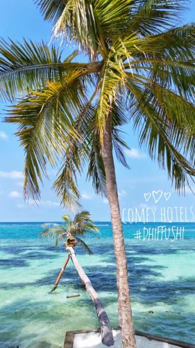 Dhiffushi Hotel | Comfy Cool Breeze by eMzaz