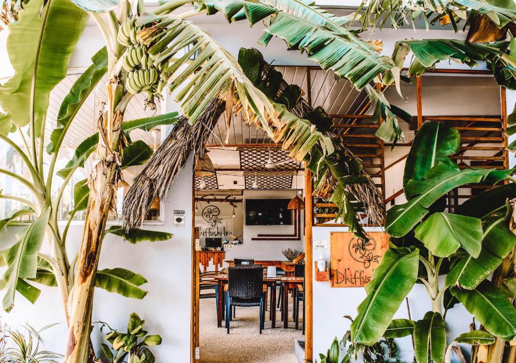 Dhiffushi House | Dhiffushi Inn