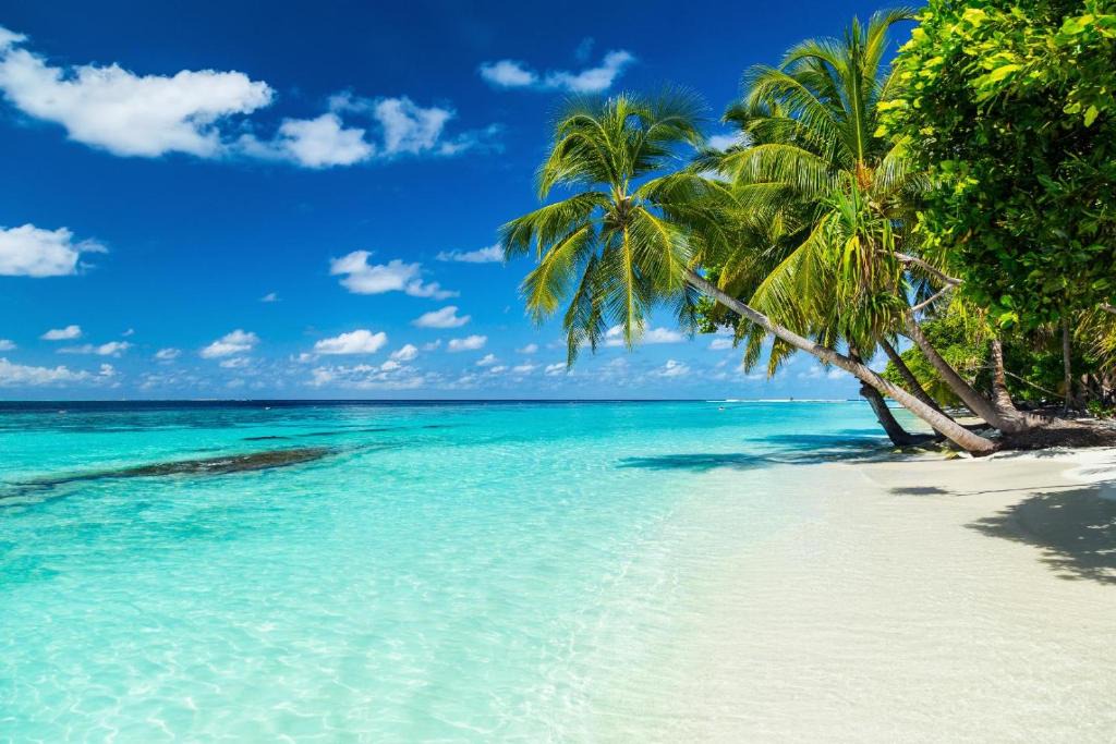 Equa Reef Maldives | Feydhoo