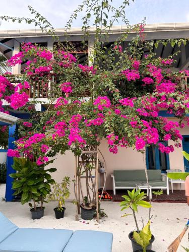 Kendhoo Hostel | Kendhoo holidays