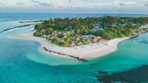 Laamu Atoll Resort | Maverick Surf & Dive Boutique Resort - Complimentary Airport Transport for Full Board Stays of 6 Nights or More