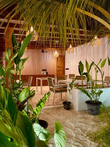 Dhigurah Hotel | Oasis Dhigurah