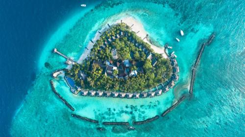 Kanifinolhu Island Resort | Taj Coral Reef Resort & Spa,Maldives - Premium All Inclusive with Free Transfers