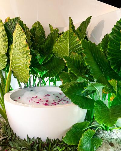 Thoddoo House | Tropicana Villas