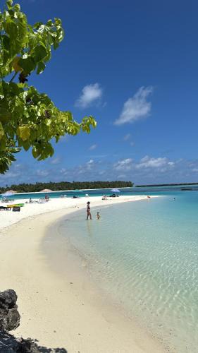 Dhiffushi Hotel | VelaaVani - Turtle Hive Dhiffushi