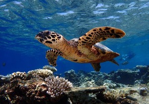Baros Maldives