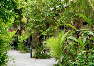 Dhangethi Retreat