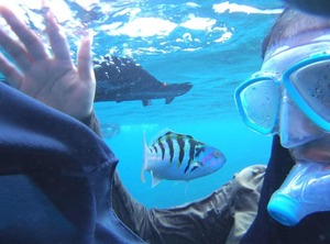 Equa Reef Maldives | Feydhoo