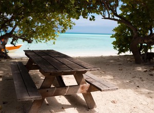 Rasdhoo Lilac Stay | Rasdhoo