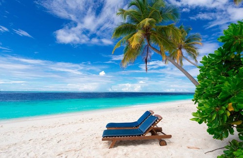 Filitheyo Resort | 108 m² Resort ∙ 127 guests