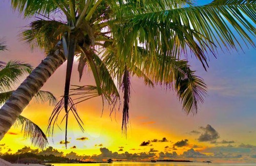 Maamigili Bed & Breakfast | 13 m² Bed and breakfast ∙ 2 guests