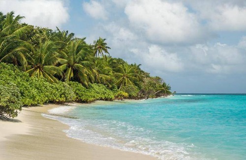 Thoddoo Bed & Breakfast | 13 m² Bed and breakfast ∙ 4 guests