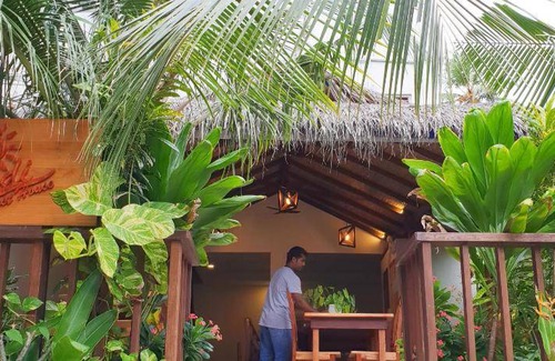 Fulidhoo Bed & Breakfast | 14 m² Bed and breakfast ∙ 3 guests