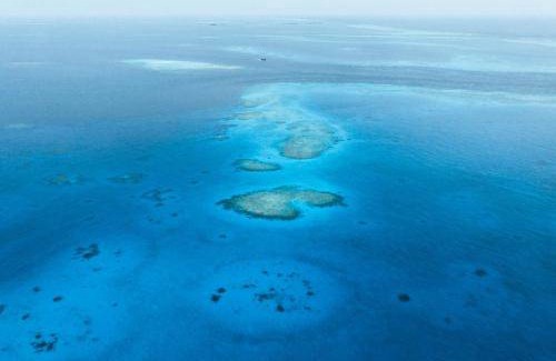 Guraidhoo Bed & Breakfast | 17 m² Bed and breakfast ∙ 2 guests