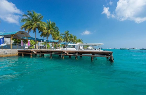 Maafushi Bed & Breakfast | 17 m² Bed and breakfast ∙ 3 guests