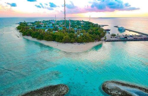 Mahibadhoo Hotel | 19 m² Hotel ∙ 3 guests