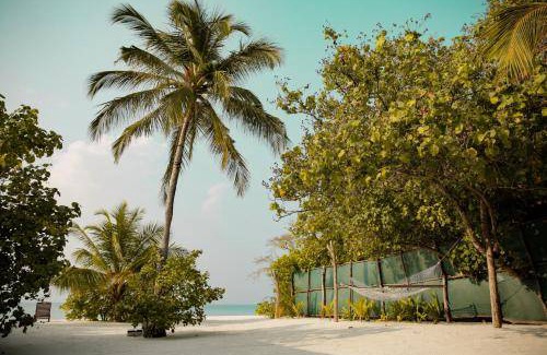 Vashafaru Bed & Breakfast | 20 m² Bed and breakfast ∙ 2 guests