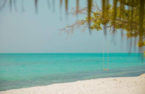 Vashafaru Bed & Breakfast | 20 m² Bed and breakfast ∙ 2 guests