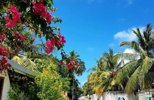 Thulusdhoo Island Bed & Breakfast | 21 m² Bed and breakfast ∙ 127 guests
