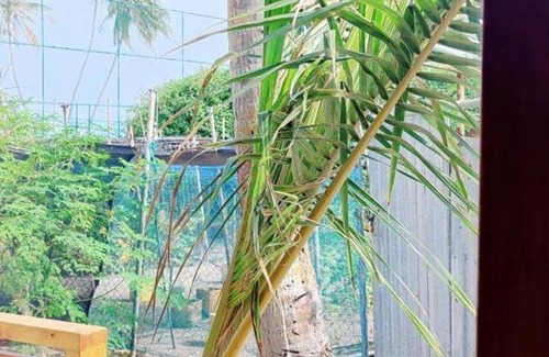 Fulidhoo Bed & Breakfast | 27 m² Bed and breakfast ∙ 4 guests