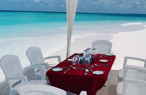 Niyama Bed & Breakfast | 27 m² Bed and breakfast ∙ 4 guests
