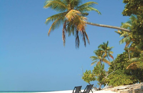 Biyadhoo Island Resort | 30 m² Resort ∙ 127 guests