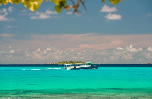 Dhigurah Bed & Breakfast | 38 m² Bed and breakfast ∙ 4 guests