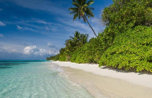 Dhigurah Bed & Breakfast | 42 m² Bed and breakfast ∙ 127 guests