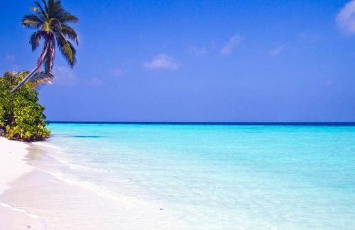 Mushimasgali Resort | 53 m² Resort ∙ 4 guests