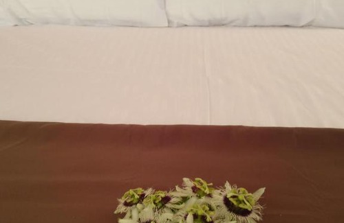 Dhaandhoo Bed & Breakfast | Baivaru Guesthouse