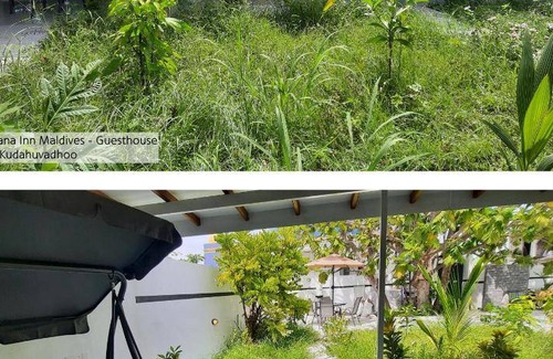 Kudahuvadhoo Bed & Breakfast | Bed and breakfast ∙ 11 guests