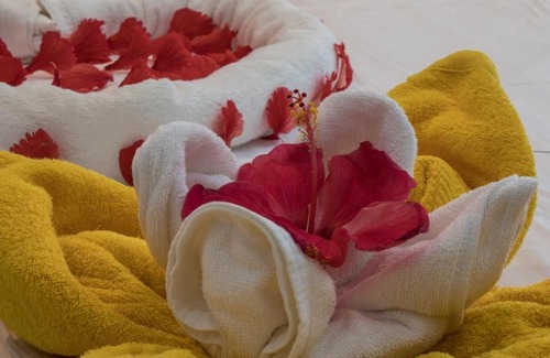 Rasdhoo House | Lilac Stay Rasdhoo