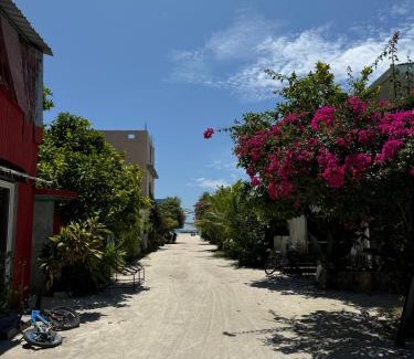 Himmafushi Hostel | Oya Maldives Himmafushi