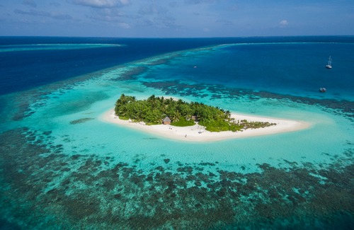 Fesdu Island Hotel | W Maldives