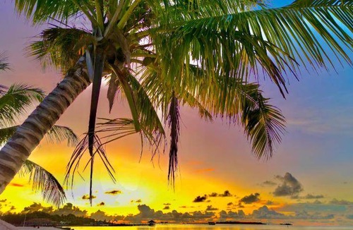 Maamigili Bed & Breakfast | 13 m² Bed and breakfast ∙ 2 guests