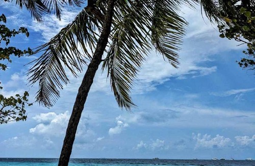 Thulusdhoo Island Hotel | 18 m² Hotel ∙ 2 guests