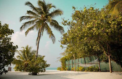Vashafaru Bed & Breakfast | 20 m² Bed and breakfast ∙ 2 guests