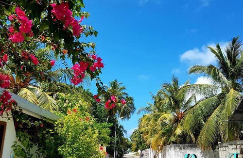 Thulusdhoo Island Bed & Breakfast | 21 m² Bed and breakfast ∙ 127 guests