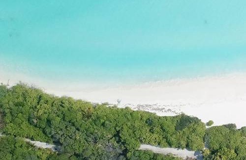 Fulhadhoo Bed & Breakfast | 21 m² Bed and breakfast ∙ 2 guests