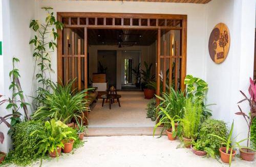 Dhigurah Bed & Breakfast | 25 m² Bed and breakfast ∙ 2 guests