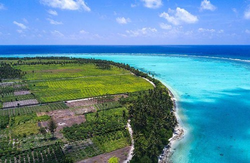 Thoddoo Bed & Breakfast | 250 m² Bed and breakfast ∙ 4 guests