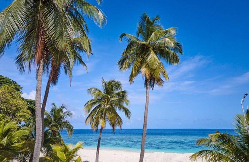 Kamadhoo House | 26 m² Motel ∙ 4 guests