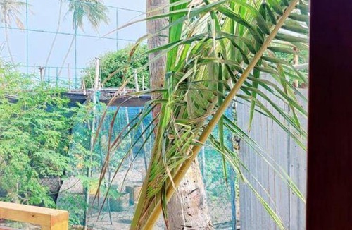 Fulidhoo Bed & Breakfast | 27 m² Bed and breakfast ∙ 4 guests