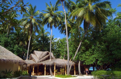 Biyadhoo Island Resort | 30 m² Resort ∙ 127 guests