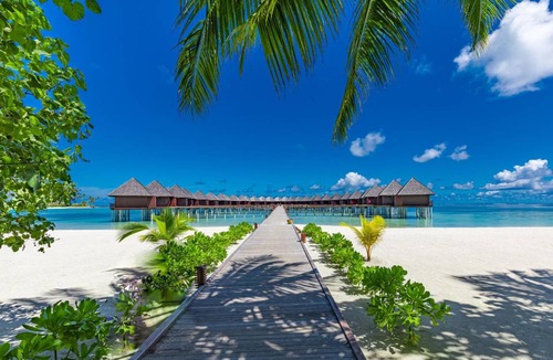 Olhuveli Resort | 310 m² Resort ∙ 127 guests