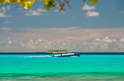 Dhigurah Bed & Breakfast | 38 m² Bed and breakfast ∙ 4 guests