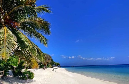 Thoddoo House | Ale sara guest house