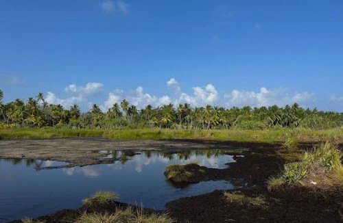 Fuvahmulah Apartment | Apartment ∙ 2 bedrooms ∙ 6 guests