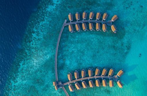 Giravaru Resort | Centara Ras Fushi Resort & Spa Maldives - 50 percent discount on transfers for min 4 nights stay and more, valid for reservations between 11th Feb till 22 Dec 2025